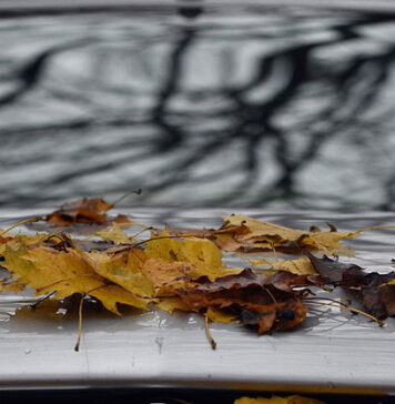 Jesienny przegląd Twojego samochodu