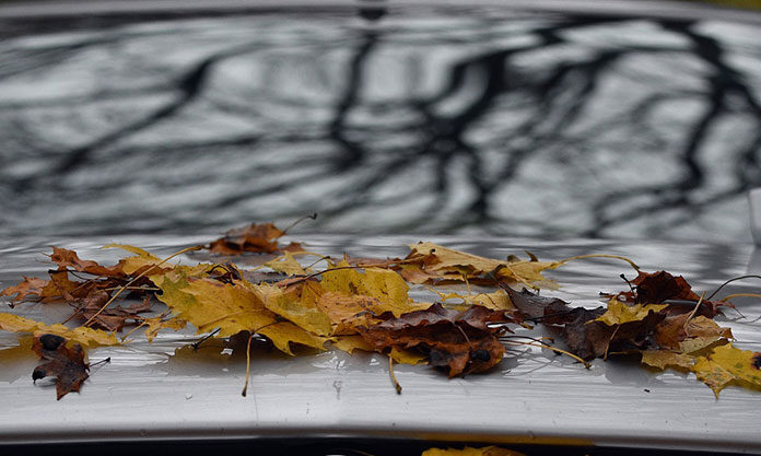 Jesienny przegląd Twojego samochodu