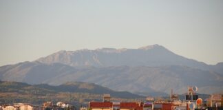 Czym można palić w nagrzewnicy olejowej?