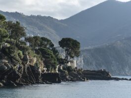 Ile kosztuje wymiana paska klinowego u mechanika?