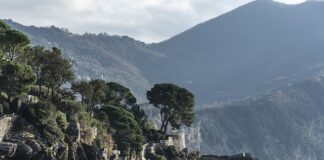 Ile kosztuje wymiana paska klinowego u mechanika?