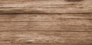 Co zrobić gdy ściana jest mokra?