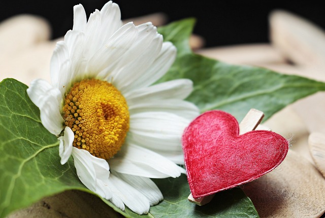 Jak dobrze pomalować zaciski hamulcowe? Jak dobrze pomalować zaciski hamulcowe?