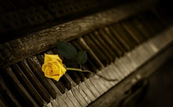 Czy klucze Yato są dobre?