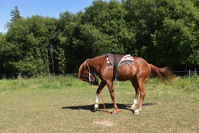 Kiedy montować listwy progowe? Kiedy montować listwy progowe?