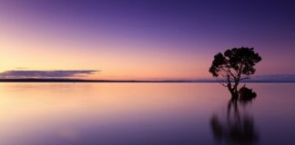 Jaka temperatura wody w nagrzewnicy wodnej?