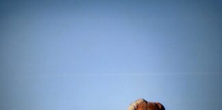 Jak nie jeździć na sprzęgle?