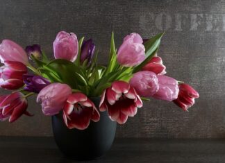 Czy można jeździć z pękniętą Sprężyna amortyzatora?