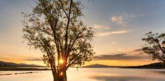 Jak zregenerować zbiornik paliwa?