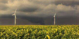 Jaka kolejność pierścieni?