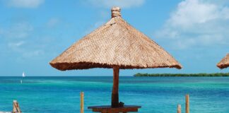 Ile wytrzymują uszczelniacze zaworowe?