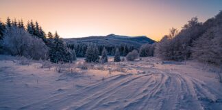 Od czego może pęknąć opona?