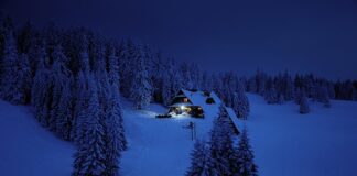 Jaki jest cel nawożenia?